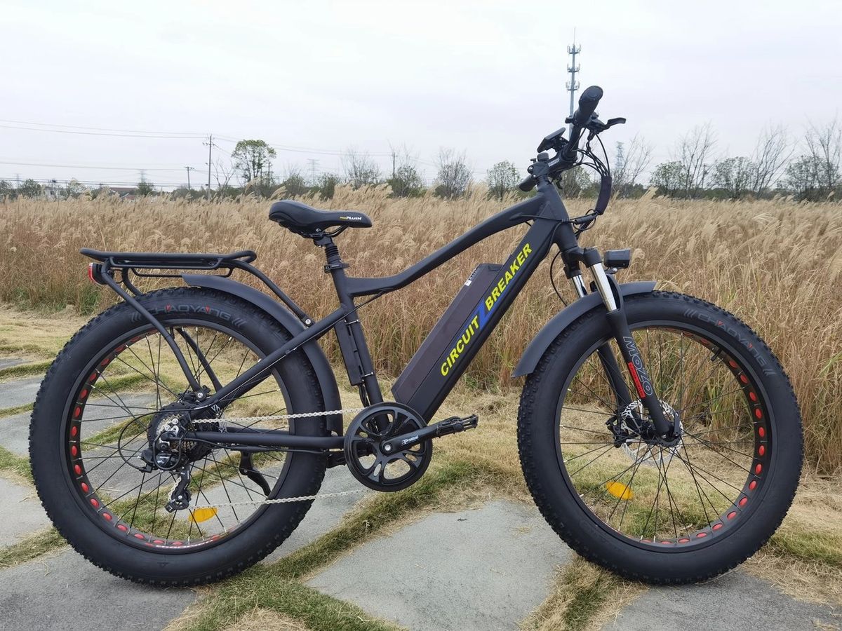 OH WOW Electric Bikes